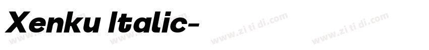 Xenku Italic字体转换